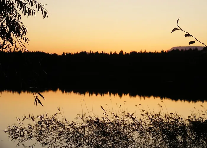 Vimmerby Stugby